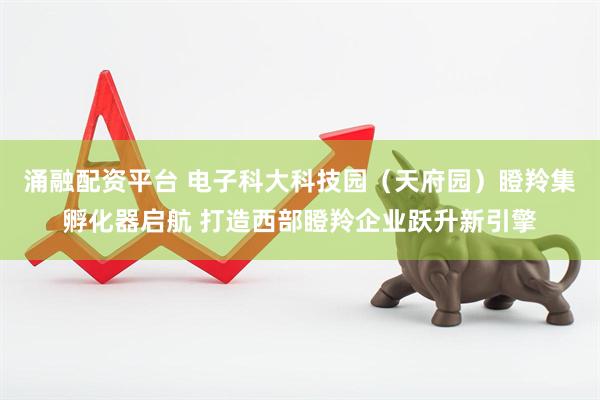 涌融配资平台 电子科大科技园（天府园）瞪羚集孵化器启航 打造西部瞪羚企业跃升新引擎