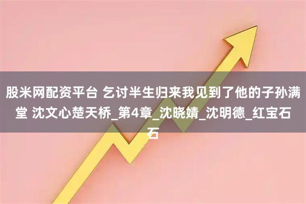 股米网配资平台 乞讨半生归来我见到了他的子孙满堂 沈文心楚天桥_第4章_沈晓婧_沈明德_红宝石