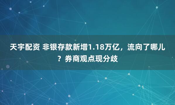 天宇配资 非银存款新增1.18万亿，流向了哪儿？券商观点现分歧