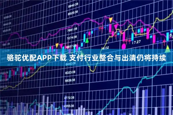 骆驼优配APP下载 支付行业整合与出清仍将持续