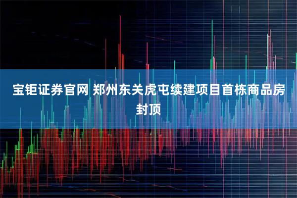 宝钜证券官网 郑州东关虎屯续建项目首栋商品房封顶